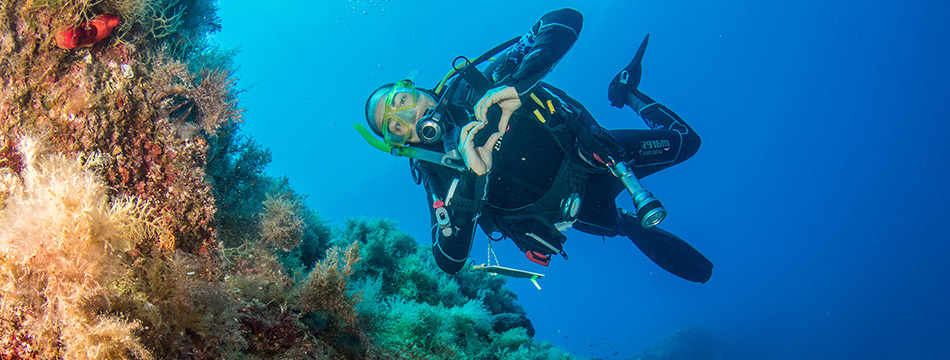 Dive center  in Crete. Learn to dive in Crete